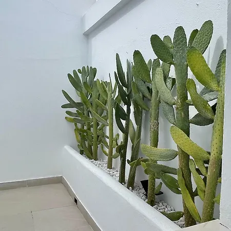 Pensjonat H Bellavista 3*